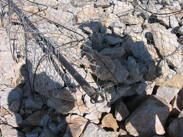 塞克格賓網圖片1