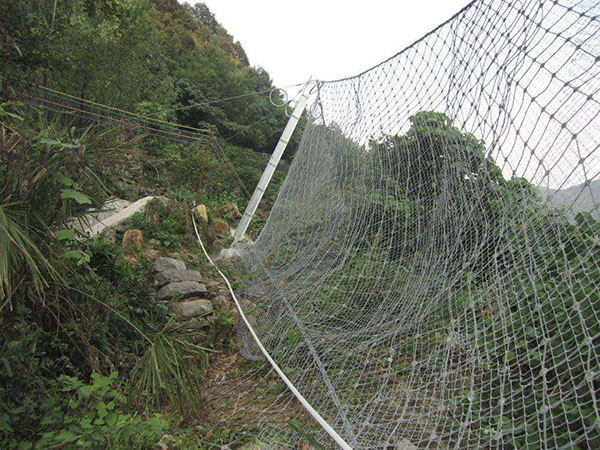 攔石網(wǎng)圖片4